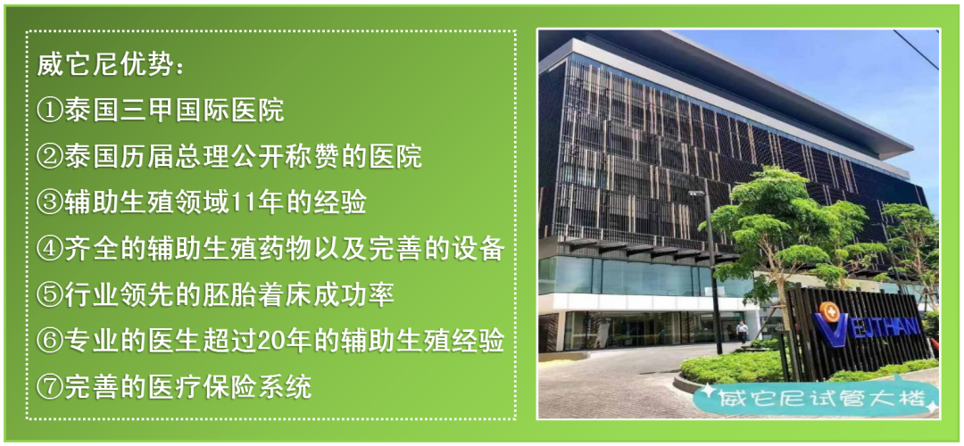 威它尼医院(图4)