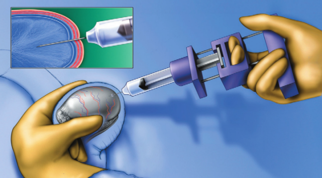 威它尼医院(图31)